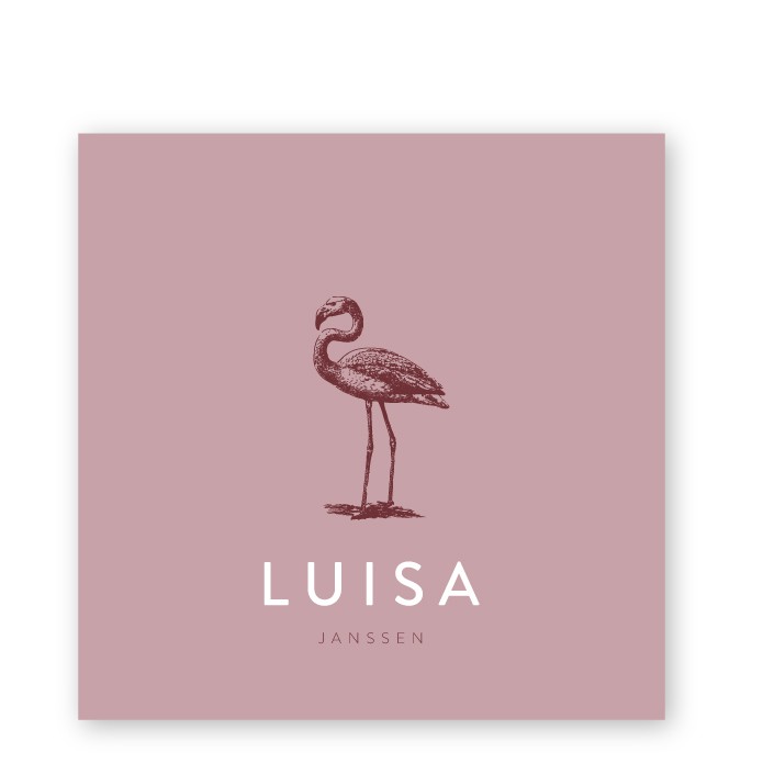 Geboortekaartje vintage flamingo
