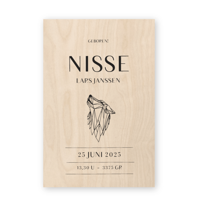 Geboortekaartje Nisse