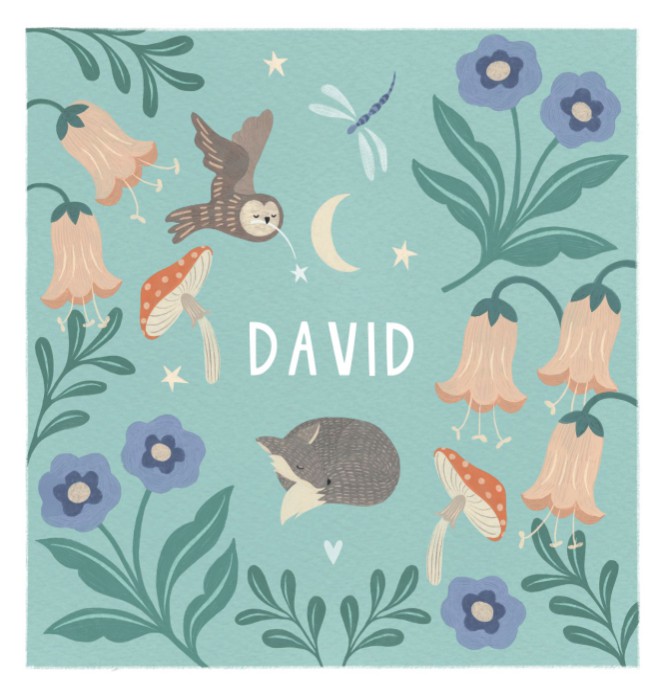 Geboortekaartje David  dubbel - Froukje den Nijs