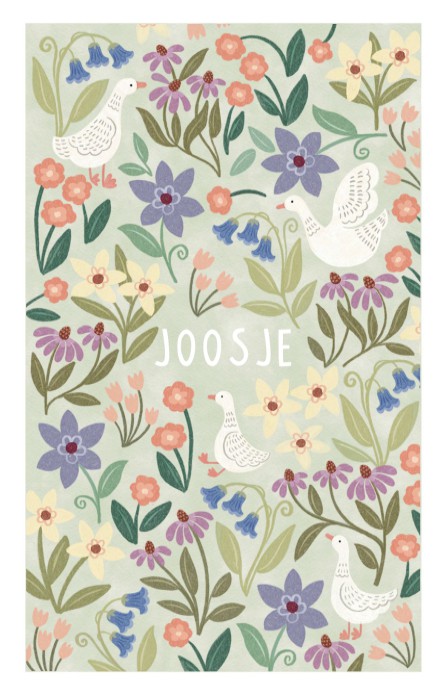 Geboortekaartje Joosje gansjes familie dubbel - Froukje den Nijs