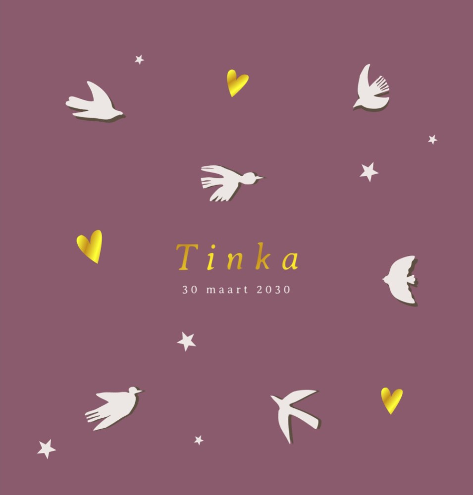 knipkunst illustraties van vogeltjes geboortekaartje voor meisjes