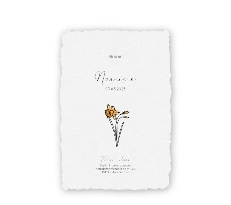 Geboortekaartje handgeschept papier met de geboortebloem maart - Narcisco