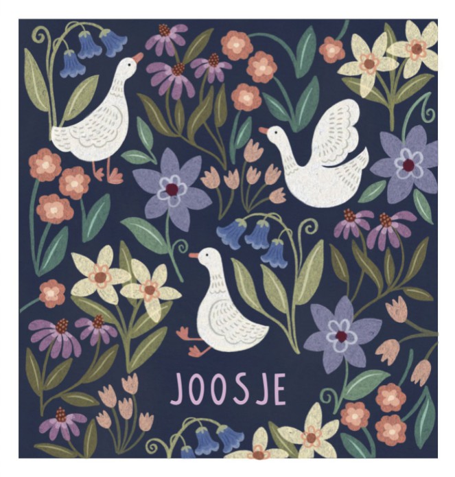 Geboortekaartje Joosje gansjes dubbel blauw - Froukje den Nijs