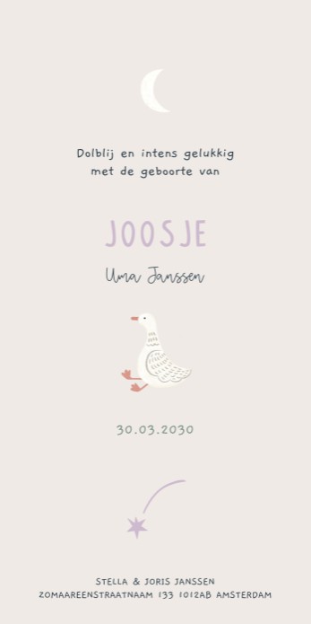 Geboortekaartje Joosje gansjes 10x20 - Froukje den Nijs