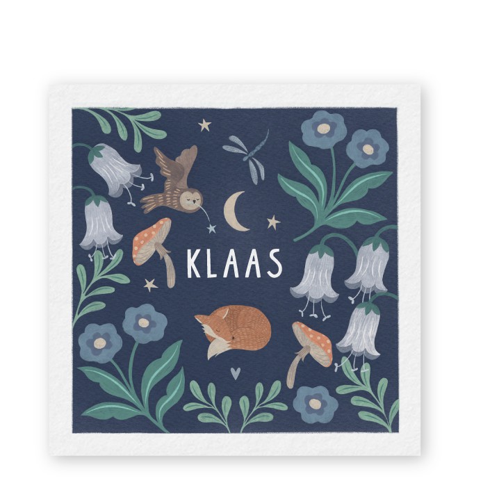 Geboortekaartje Klaas vosje patroon - Froukje den Nijs