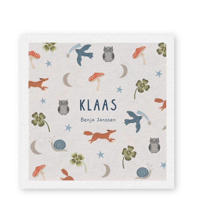Geboortekaartje patroon vosjes Klaas