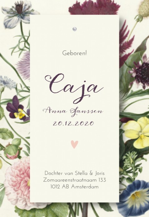 Geboortekaartje label splitpen Caja