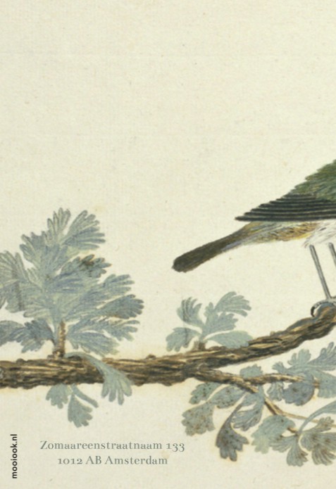 Geboortekaartje label splitpen Dario