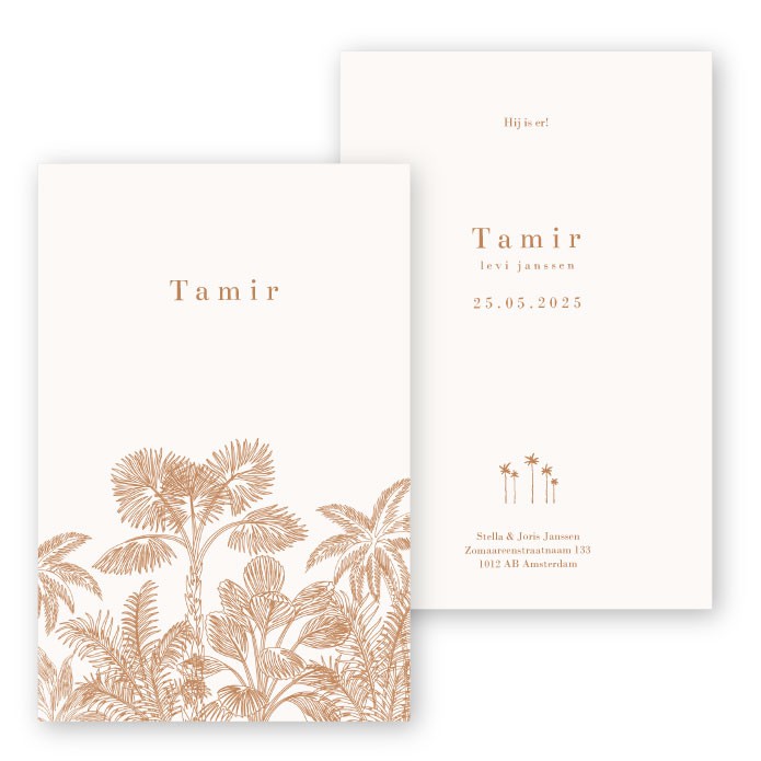 Babykaartje jungel roest