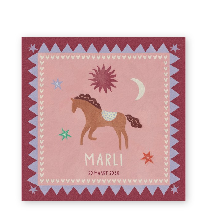 exclusief voor mooiook geboortekaartje froukje den nijs met boho paardje
