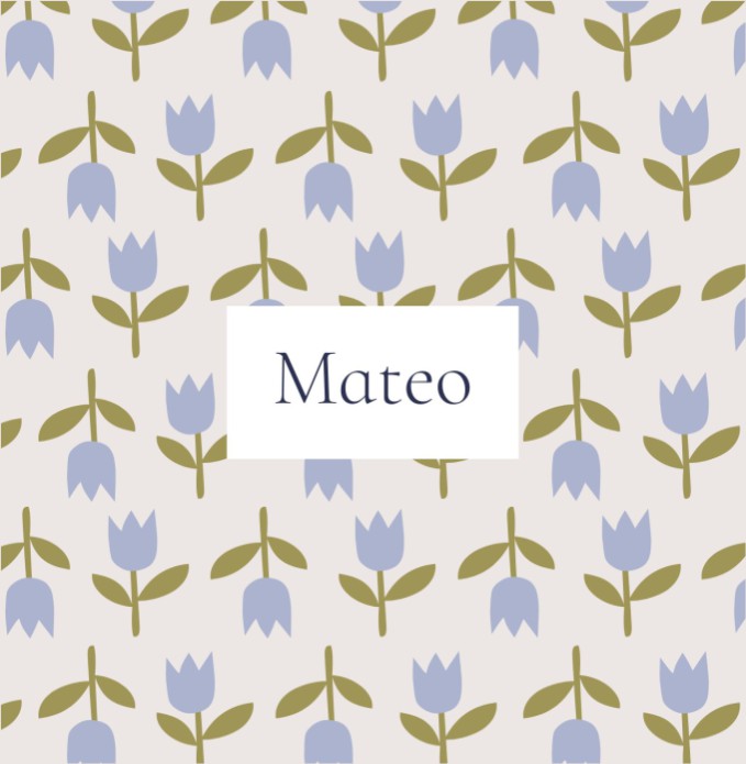 Geboortekaartje Mateo Tulpen - Froukje den Nijs