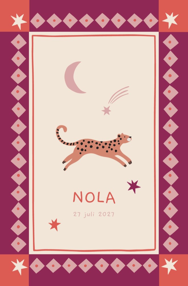 Geboortekaartje Nola Kaders staand