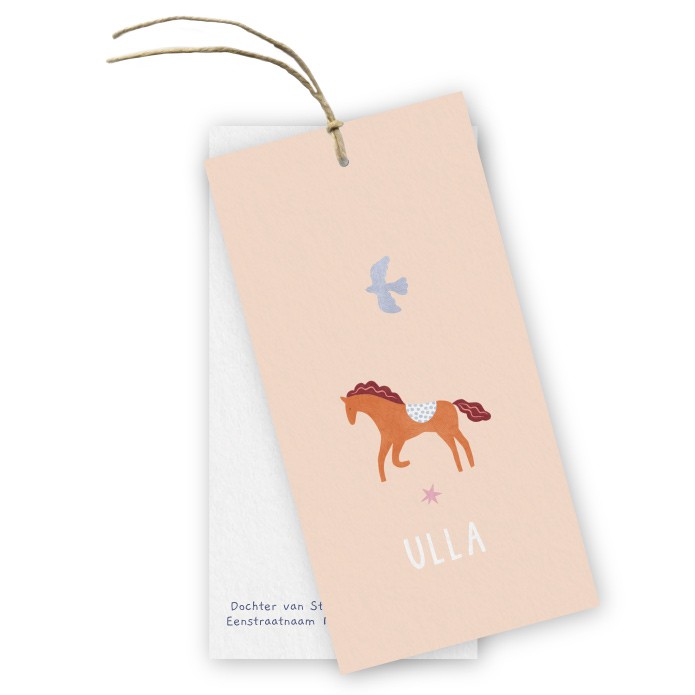 Geboortekaartje labels Ulla paardje - Froukje den Nijs