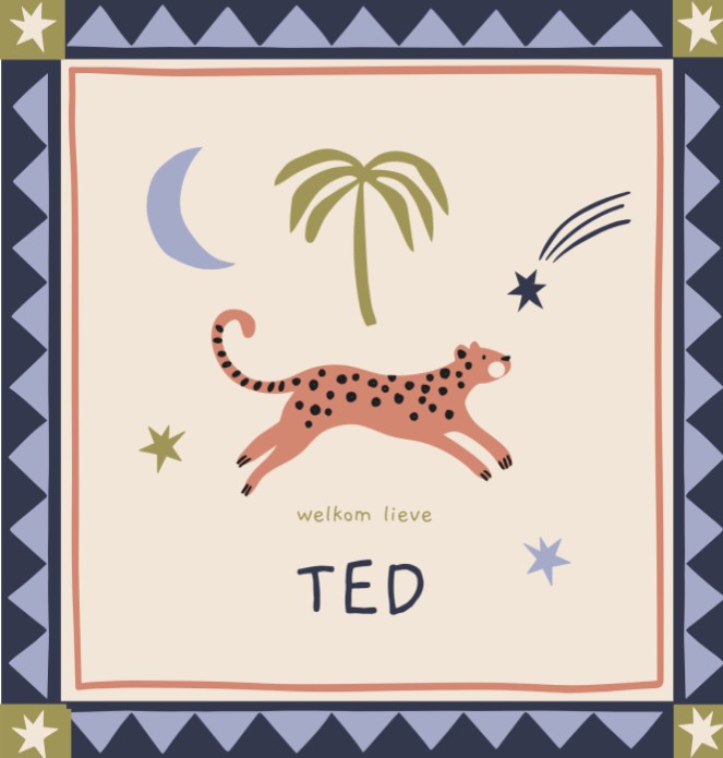 Geboortekaartje Ted - Kaders en Luipaardje - Froukje den Nijs