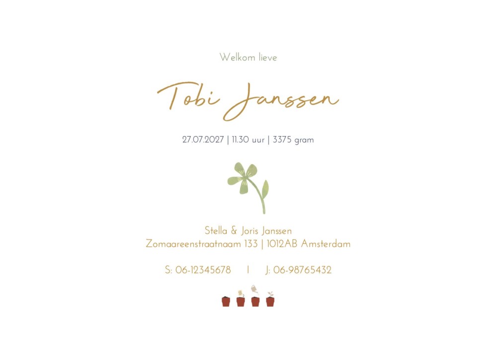 Geboortekaartje Tobi met waterverf dieren