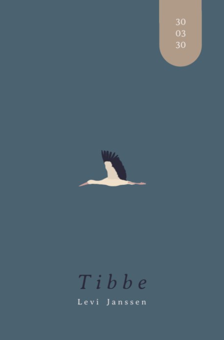 Geboortekaartje vliegende ooievaar Tibbe