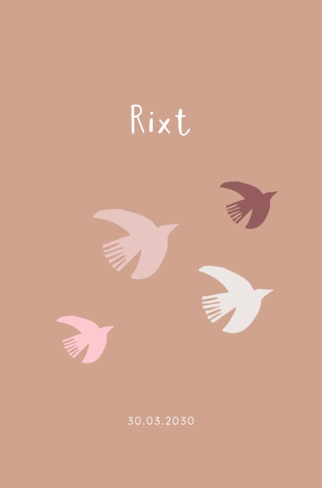 Geboortekaartje vogel Rixt