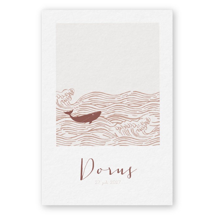 Babykaartje walvis zee