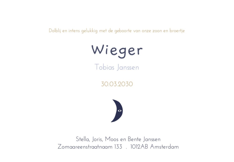 Geboortekaartje Wieger Vliegende Ganzen 15x10