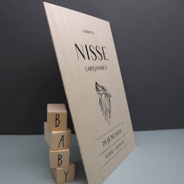 Geboortekaartje Nisse