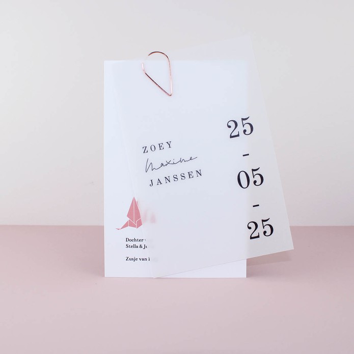 Geboortekaartje vellum modern