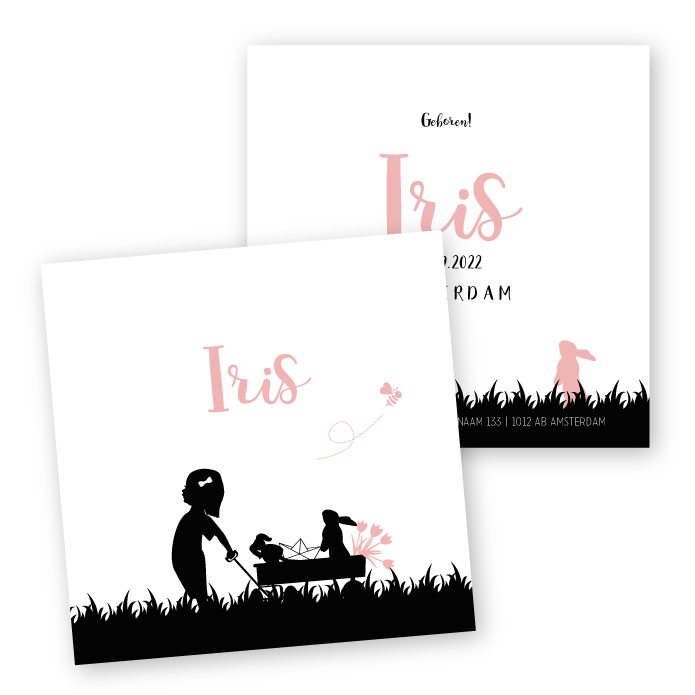 geboortekaartje meisje bolderkar
