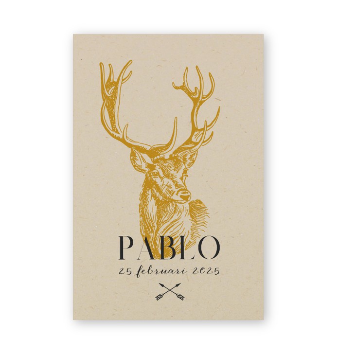 Geboortekaartje duurzaam hert Pablo