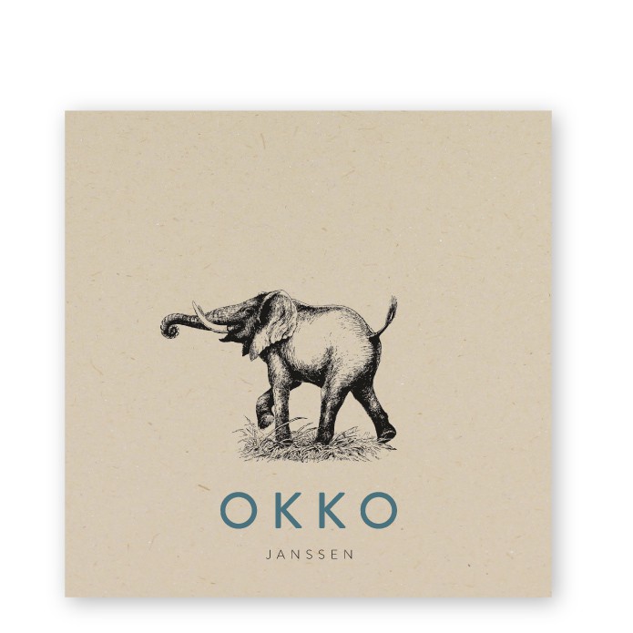 Geboortekaartje duurzaam olifantje Okko