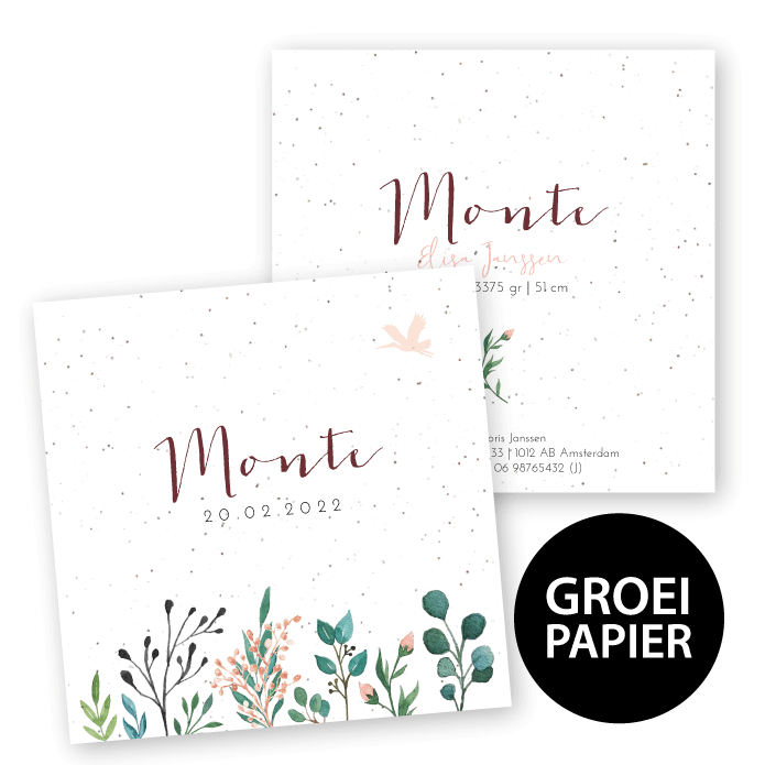 Geboortekaartje groeipapier Monte