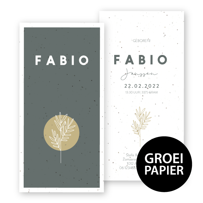 Geboortekaartje groeipapier Fabio