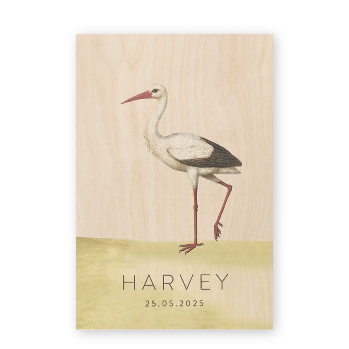 Geboortekaartje hout Harvey