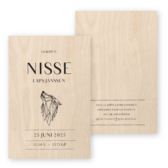 Geboortekaartje Nisse