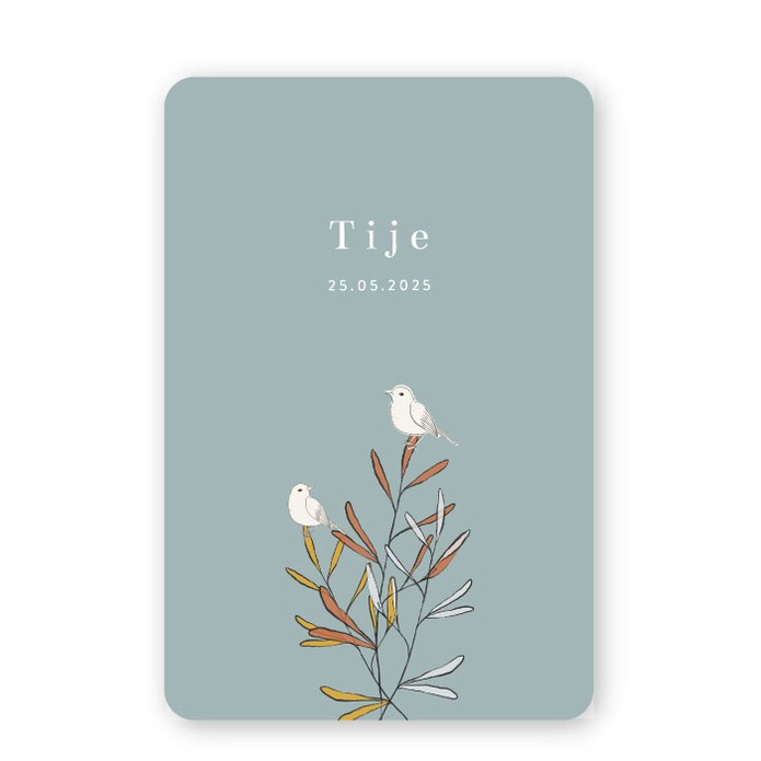 Geboortekaartje modern takje