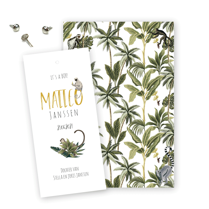 Geboortekaartje label Matteo