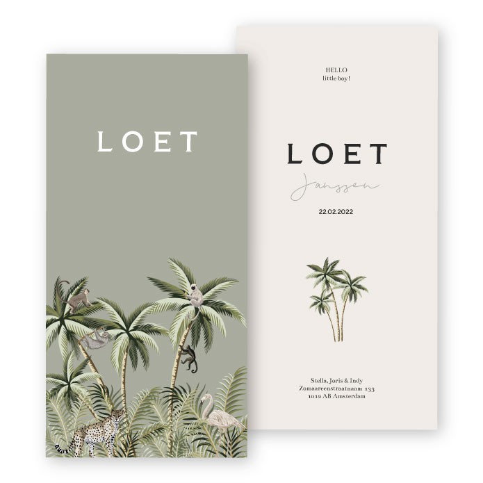 Babykaartje jungle karton Loet