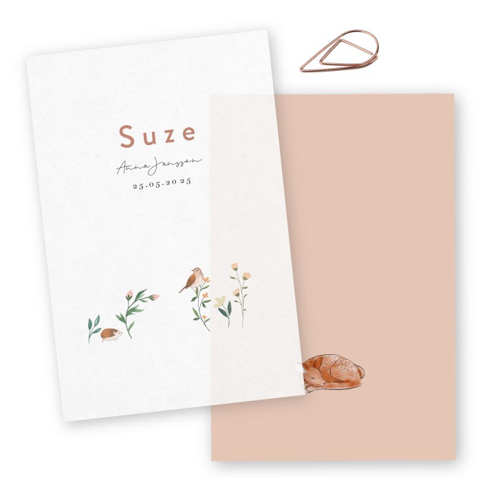 Geboortekaartje vellum lente