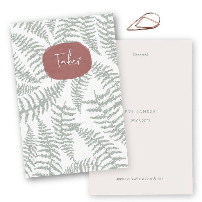 Geboortekaartje kalk botanisch