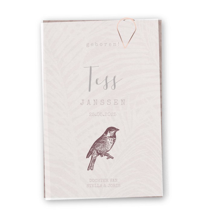 Geboortekaartje kalkpapier vogeltje