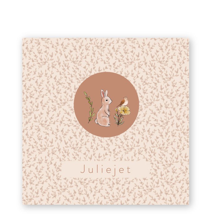 Geboortekaartje lieve konijntjes kader Juliejet