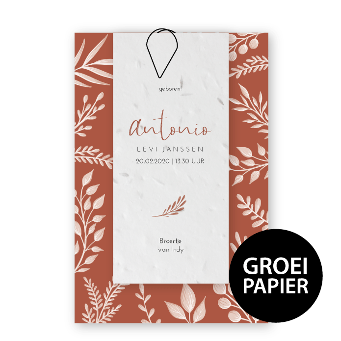 Geboortekaartje label groeipapier varens Antonio