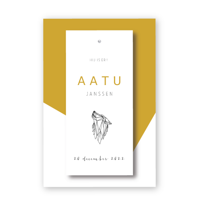 Geboortekaartje label splitpen Aatu