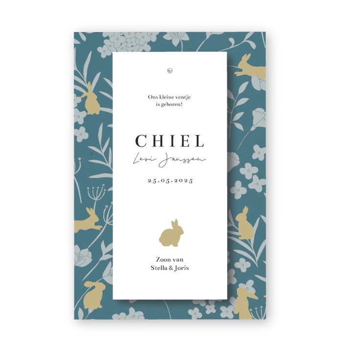 Geboortekaartje klembord konijntjes Chiel