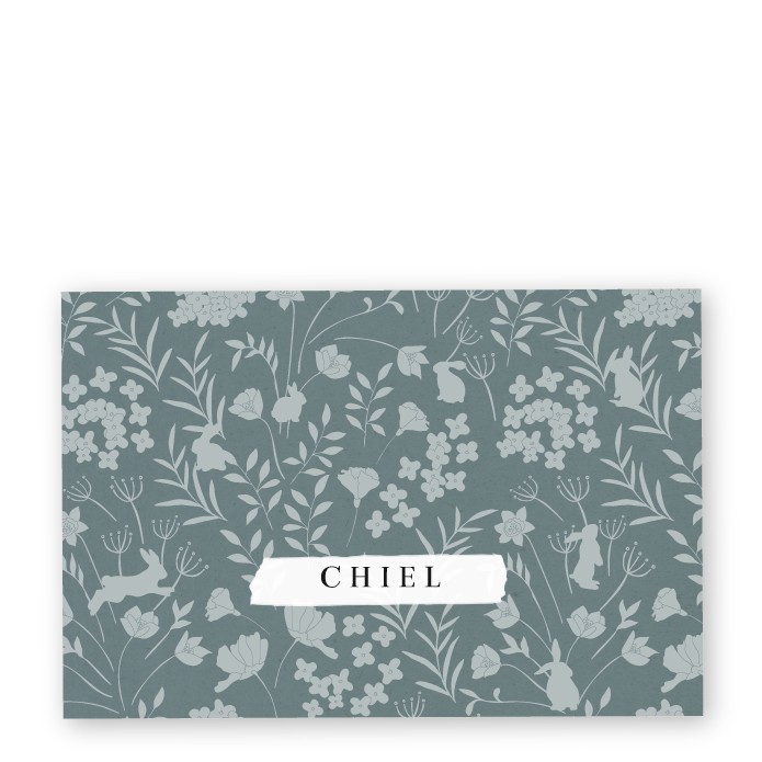 Geboortekaartje klaproos Chiel