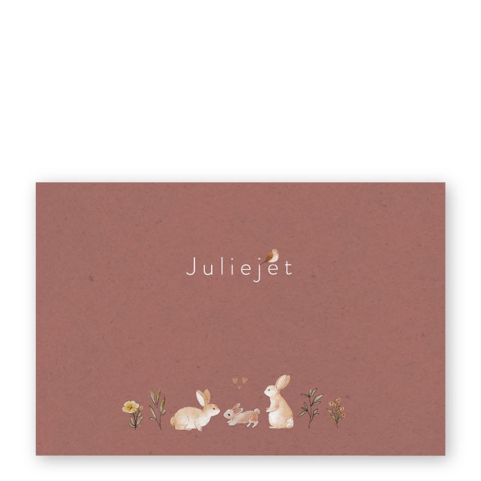 Geboortekaartje roestbruin konijn