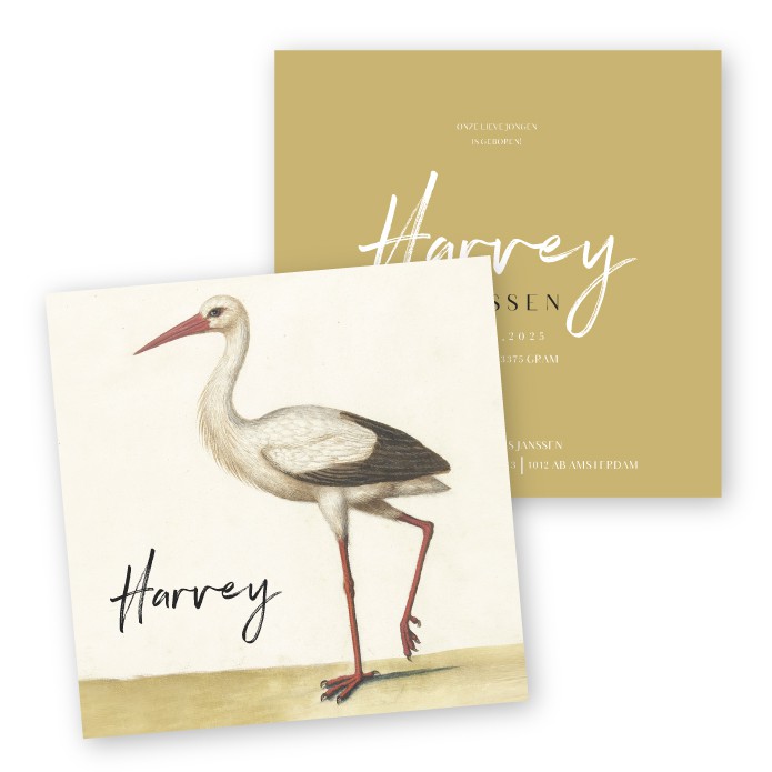Geboortekaartje museum ooievaar Harvey