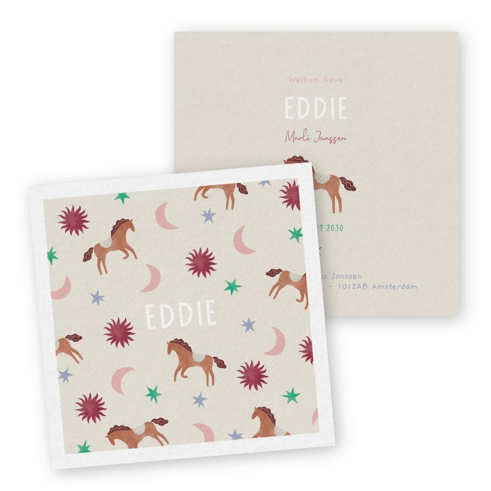 Geboortekaartje Eddie boho paardjes - Froukje den Nijs