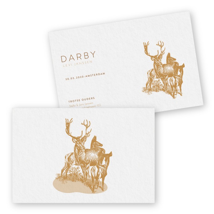 Geboortekaart tekening hert