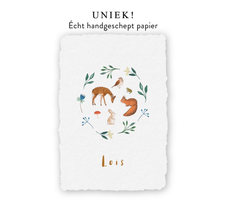 Handgeschept papier met schattige waterverf getekende bosdieren - Lois