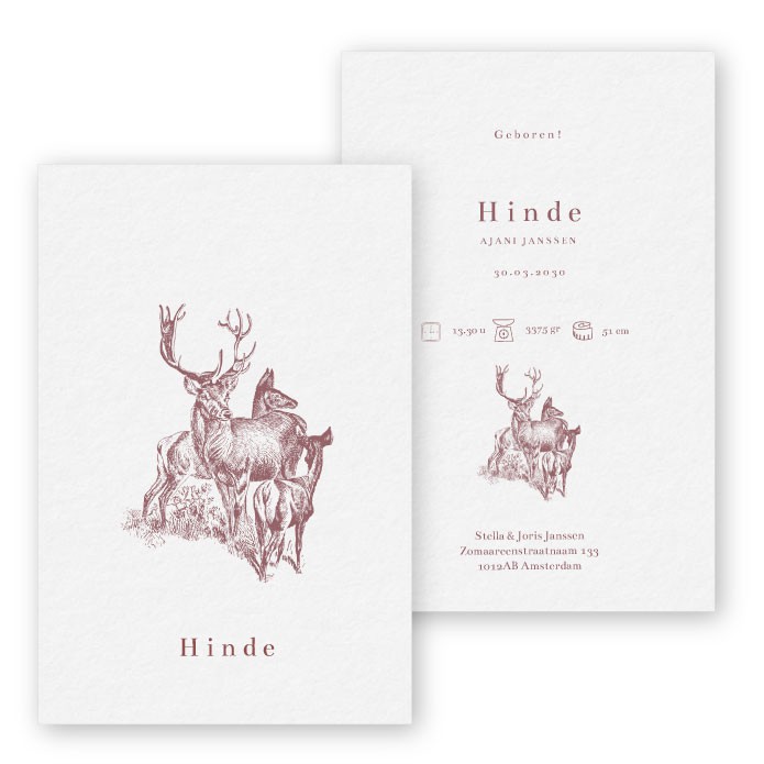 Geboortekaartje getekende hertjes