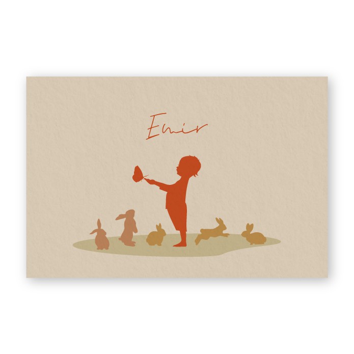 Geboortekaartje jongen met konijntjes